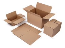 Golfkarton dozen enkellaags 3 mm b-golf