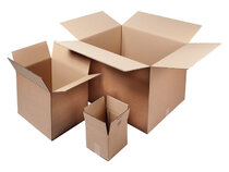 Golfkarton dozen dubbellaags